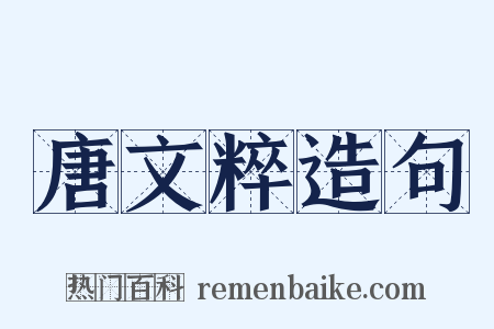 唐文粹造句是什么意思的图片